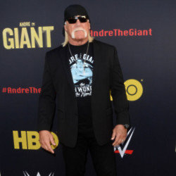 Hulk Hogan has revealed he used nothing but a pen to free a teenager from an overturned car
