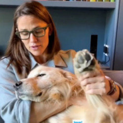 Jennifer Garner still mourns the loss of her late dog Martha Stewart
