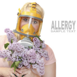 Does hayfever plague your summer?
