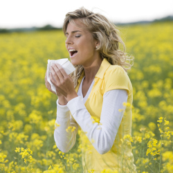 Enjoy the summer and don't worry about hayfever with these tips