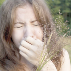 Top Tips To Battle Hayfever This Spring