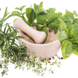 Fresh herbs don't only add flavour to meals