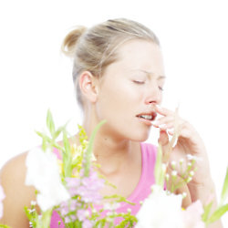 Don't let hayfever ruin your summer