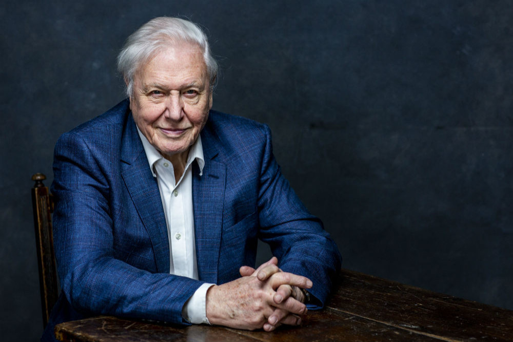 Sir David Attenborough voted Britain’s favourite TV Presenter