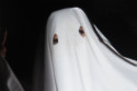 Humans could soon discover the truth about ghosts