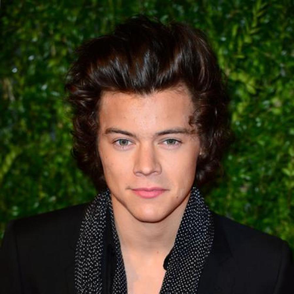 Harry Styles at the 2013 British Fashion Awards
