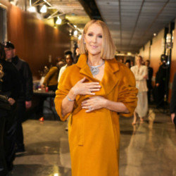 Céline Dion says her stardom has given her the relentless determination to ‘never want to give up on anything’