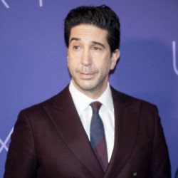 David Schwimmer is heading into the famous tent