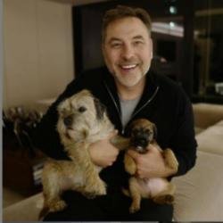 David Walliams and his dogs (c) Instagram