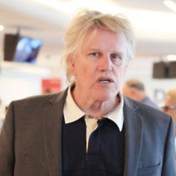 Gary Busey has been charged with three sex crimes that allegedly took place earlier this month at a horror films fan convention