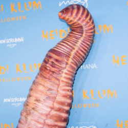 Heidi Klum dressed as a worm last year