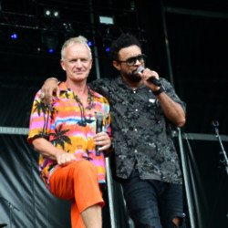 Sting's love of brown sauce has been revealed by his friend Shaggy