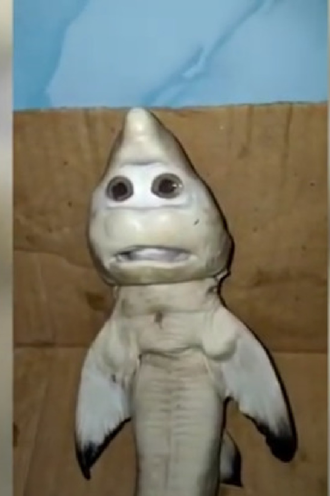 Shark with 'human' face