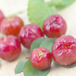 The Acerola is rich in vitamin C 