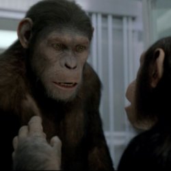 Andy Serkis In Rise of the Planet of the Apes