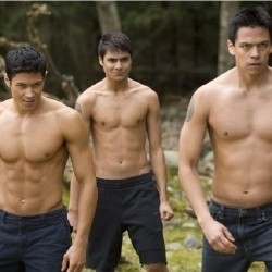 Twilight's Perpetually Shirtless Wolfpack